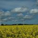 Farma wiatrowa